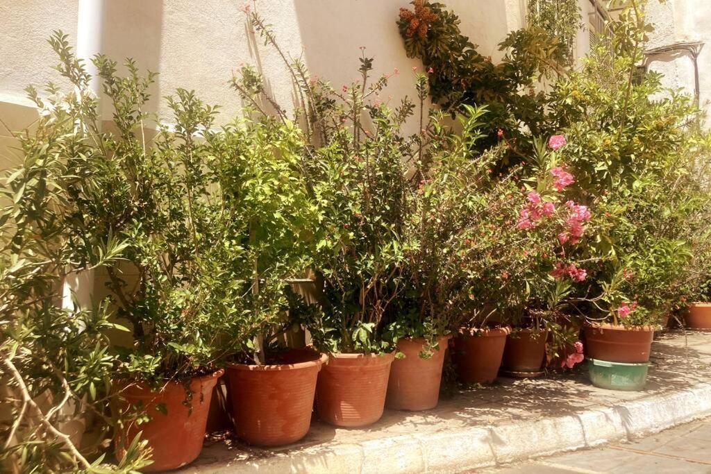 فيلا Lanjarónفي Casa Rubi Townhouse المظهر الخارجي الصورة